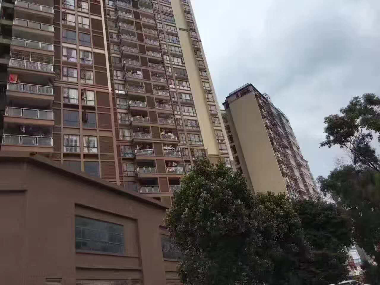 效果图