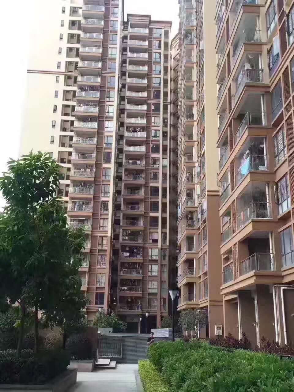 效果图
