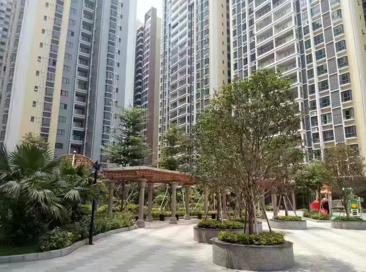 效果图