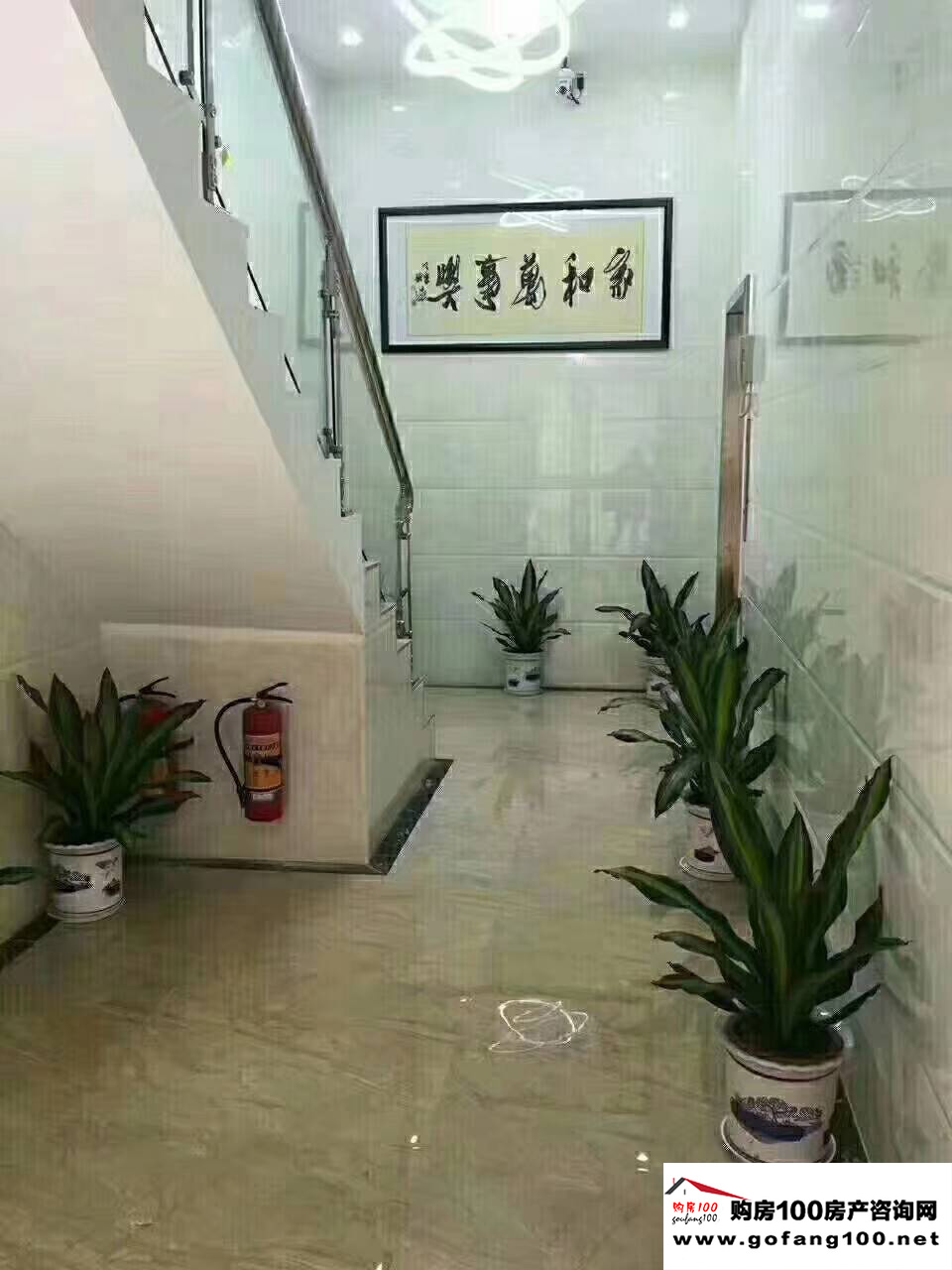 效果图