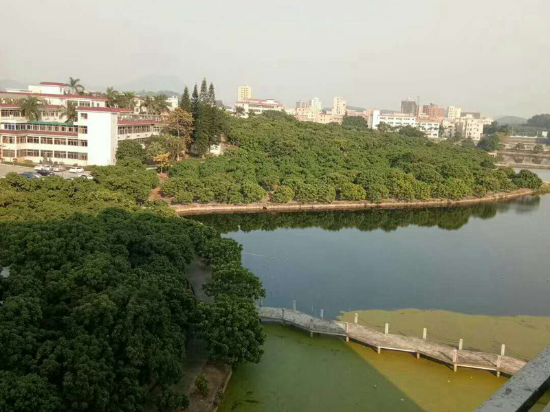 效果图