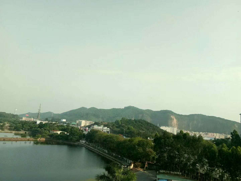 效果图
